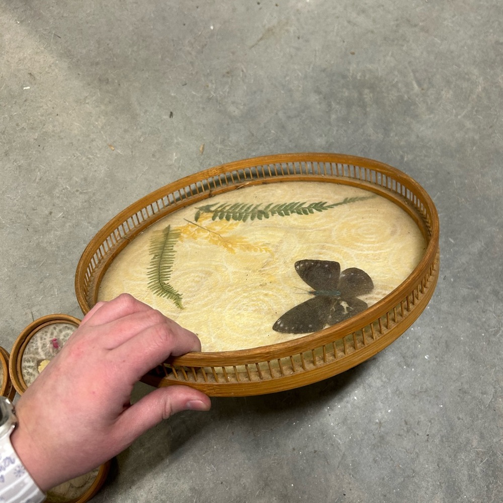 Vintage 1970s Pressed Butterfly BambooTray & Coasters set 5 pieces - Picture 4 of 7